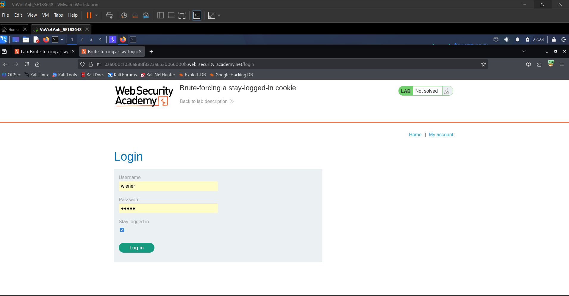 Figure 2: The login page showing the test account wiener with the Stay logged in option enabled.